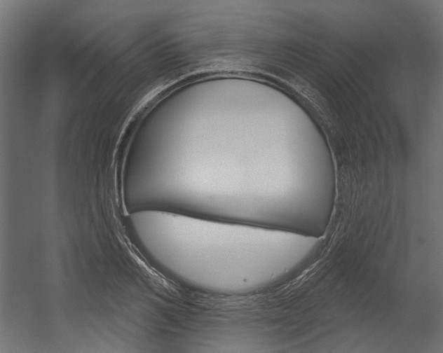X0000054460982200507291017