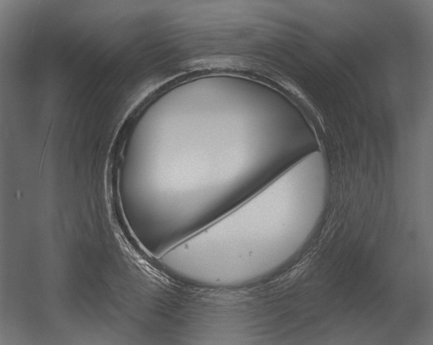 X0000054460983200507291017