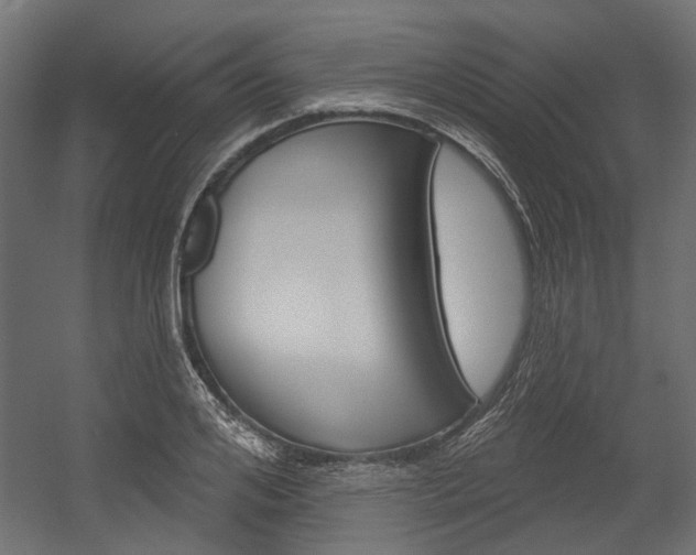 X0000054460984200507291017