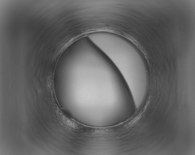 X0000054460985200507291017