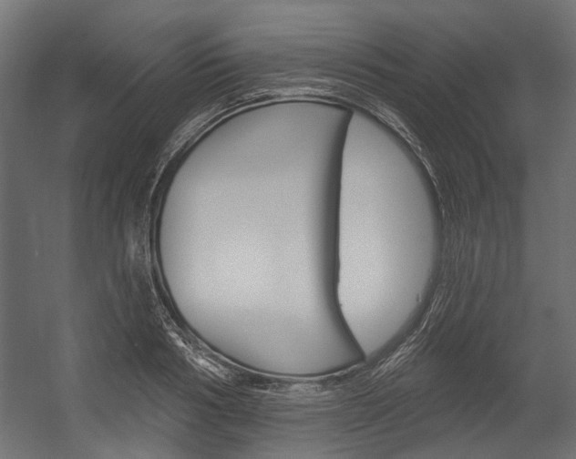 X0000054460986200507291017