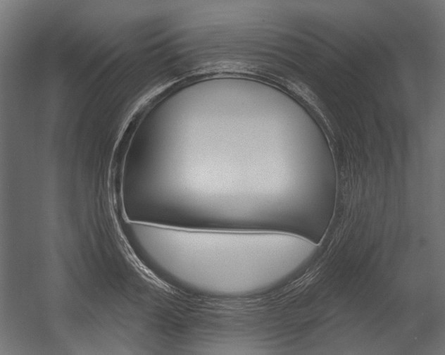 X0000054460987200507291017