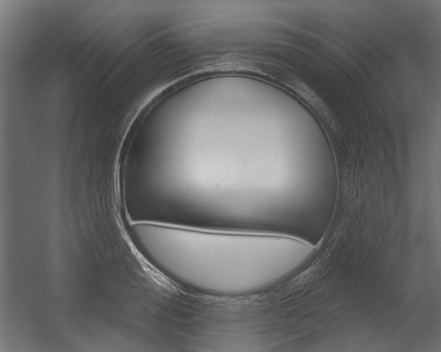 X0000054460988200507291017