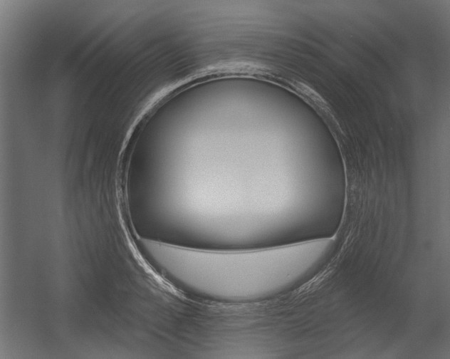 X0000054460989200507291017