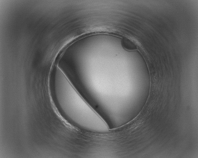 X0000054460991200507291016