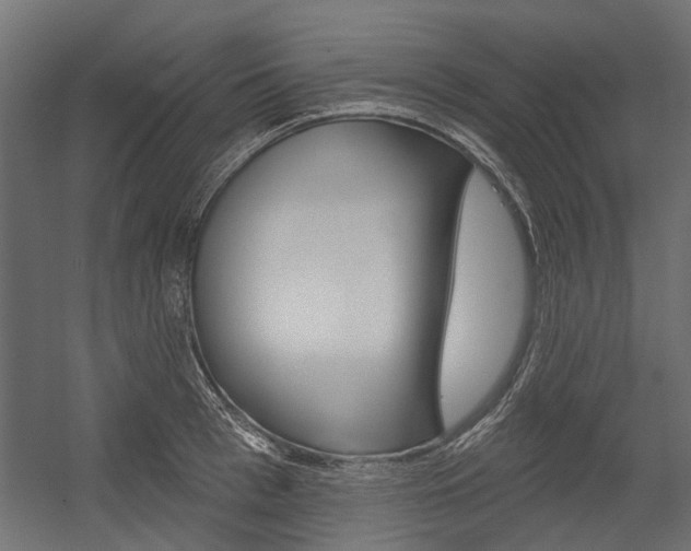 X0000054460993200507291016