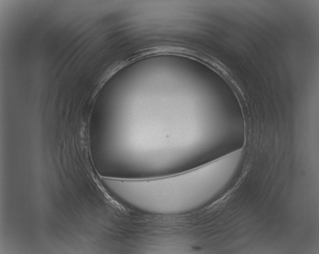 X0000054461001200507291016