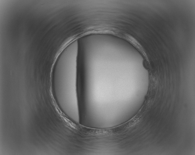X0000054461002200507291016