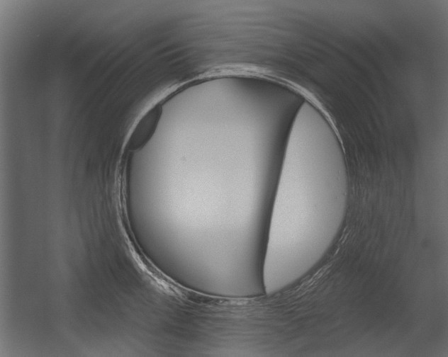 X0000054461003200507291016