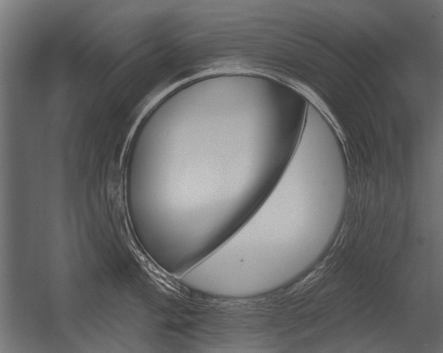 X0000054461004200507291016