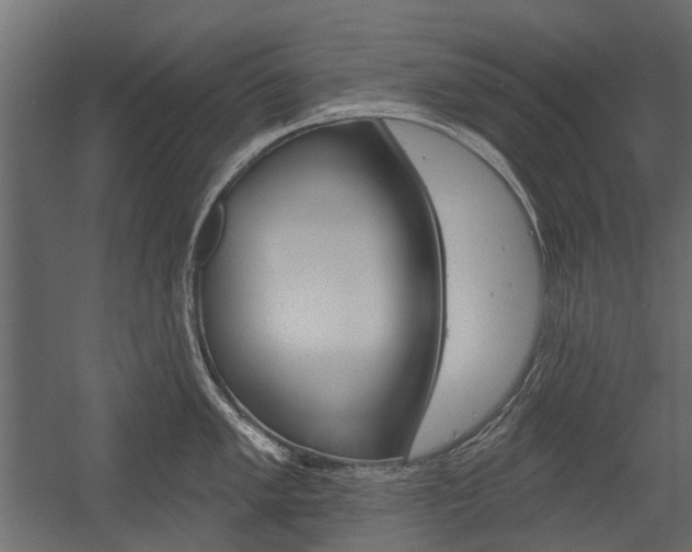 X0000054461005200507291016