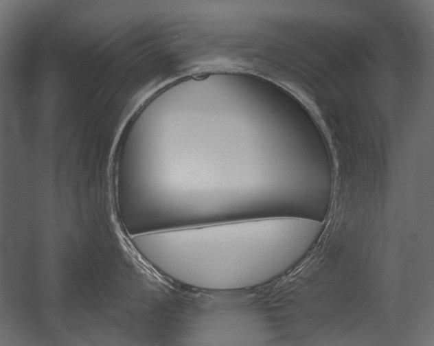X0000054461008200507291016