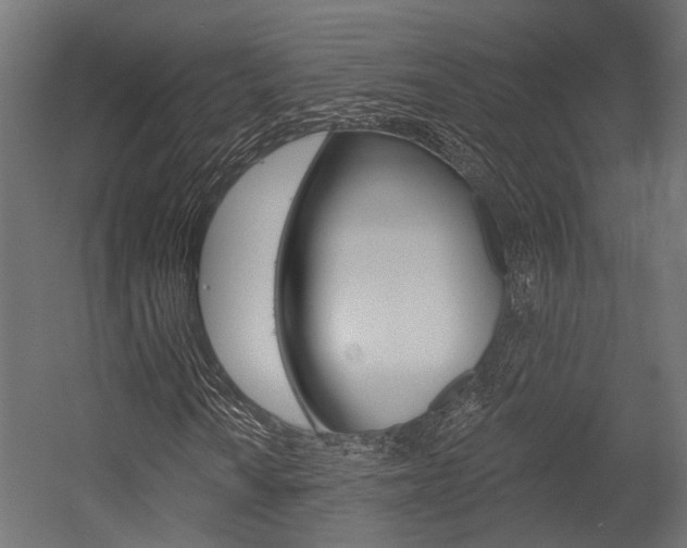 X0000054461010200507291015