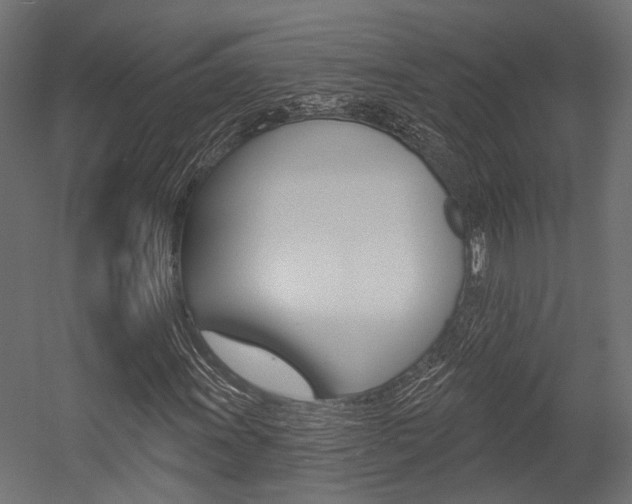 X0000054461011200507291015