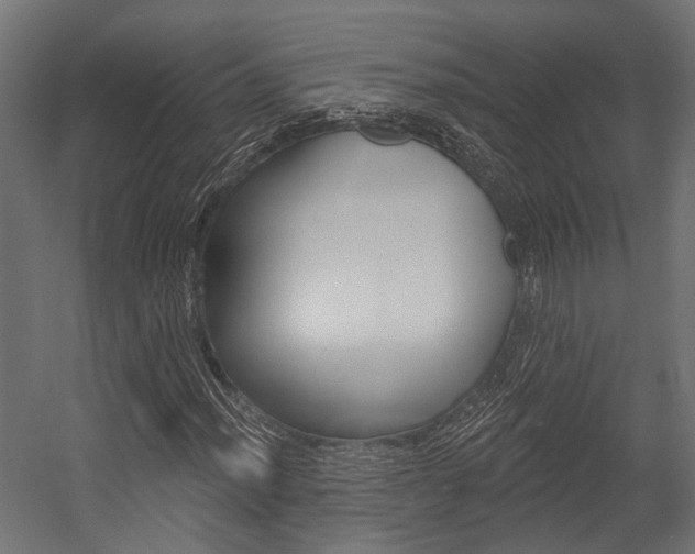 X0000054461012200507291015