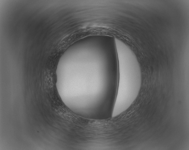 X0000054461013200507291015