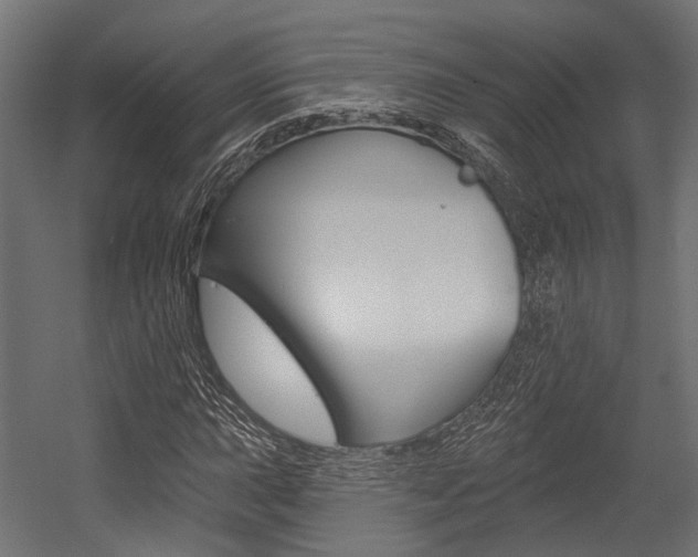 X0000054461015200507291015