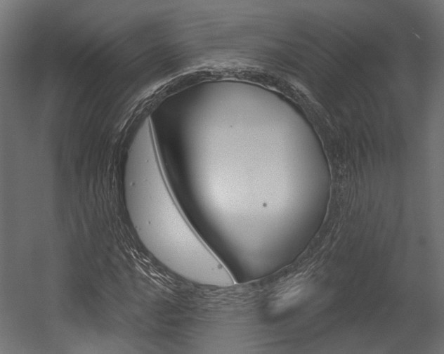 X0000054461016200507291015