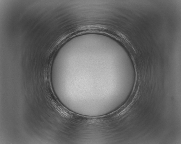 X0000054461017200507291016