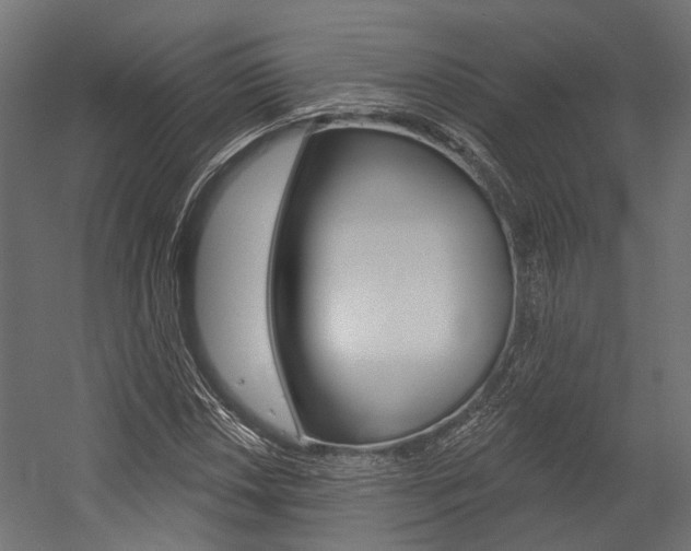 X0000054461018200507291016