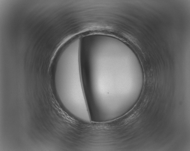 X0000054461021200507291016