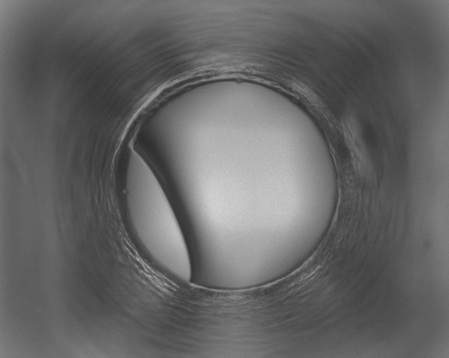 X0000054461023200507291016