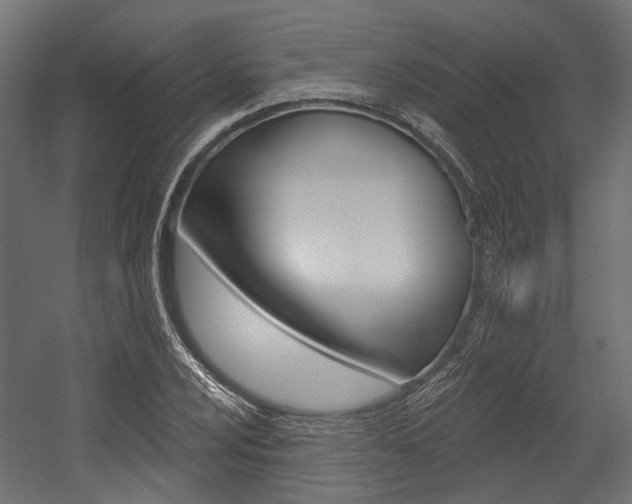 X0000054461024200507291016