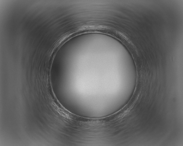 X0000054461025200507291016