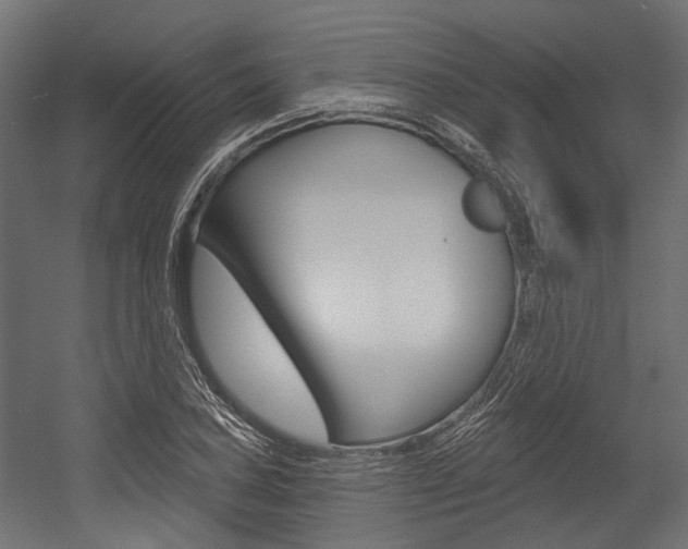 X0000054461027200507291016