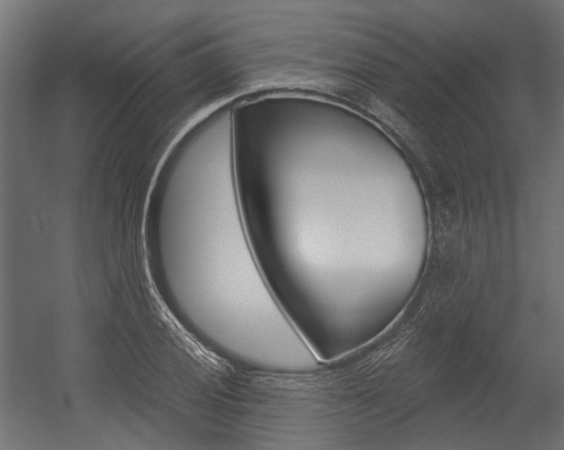 X0000054461028200507291016
