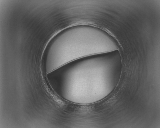 X0000054461029200507291016