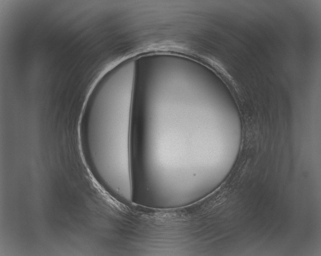 X0000054461032200507291016
