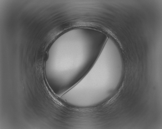 X0000054461033200507291016
