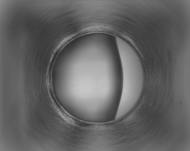 X0000054461034200507291016