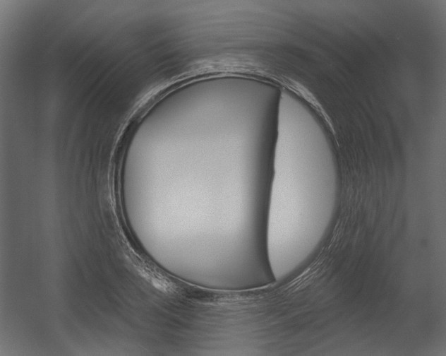 X0000054461035200507291016