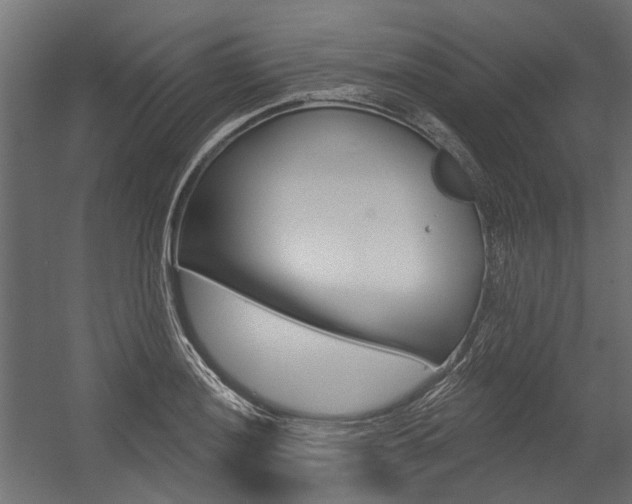 X0000054461036200507291016
