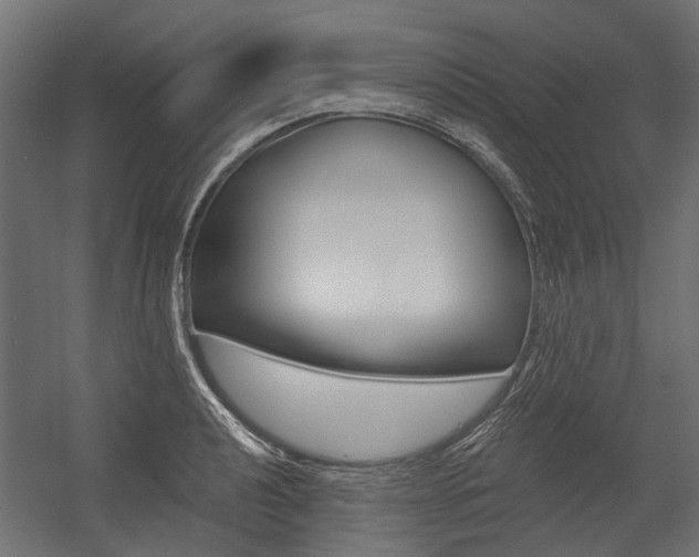 X0000054461040200507291016
