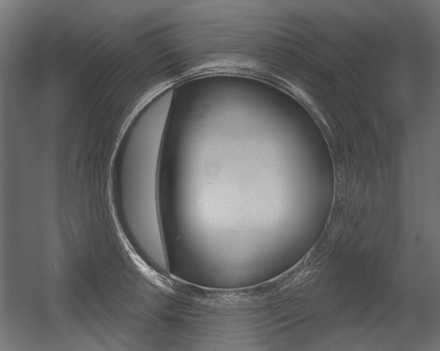 X0000054461042200507291016