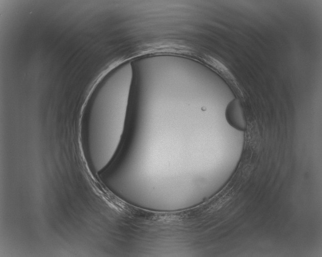 X0000054461043200507291016