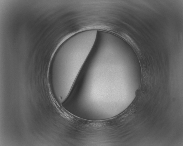 X0000054461044200507291016