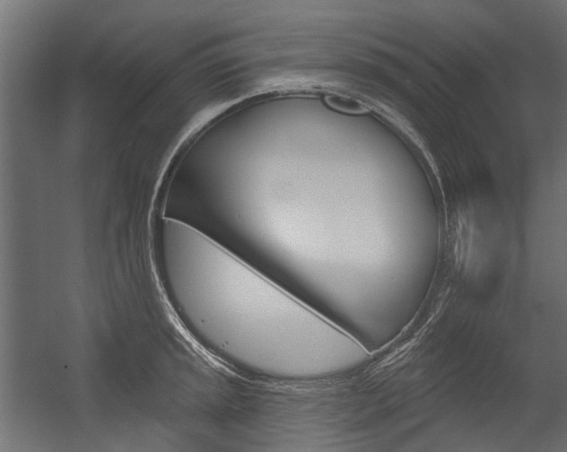 X0000054461045200507291016