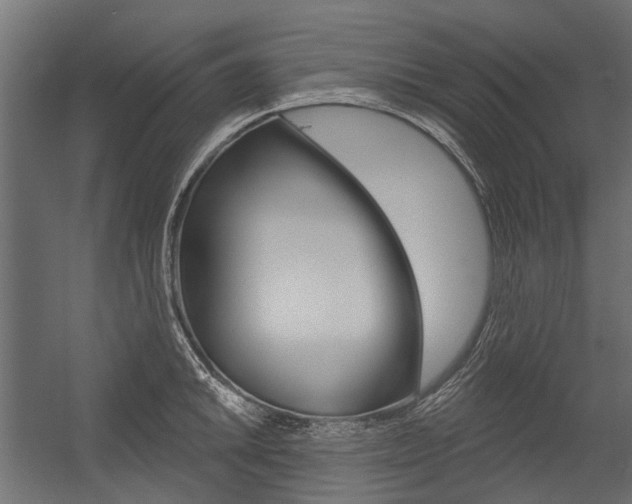 X0000054461046200507291016