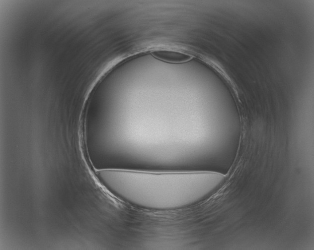 X0000054461048200507291016