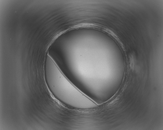 X0000054461049200507291016