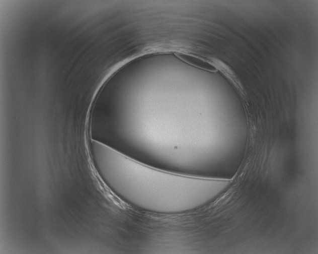 X0000054461052200507291016