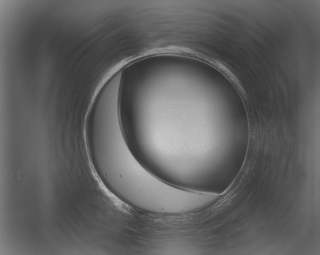 X0000054461054200507291016