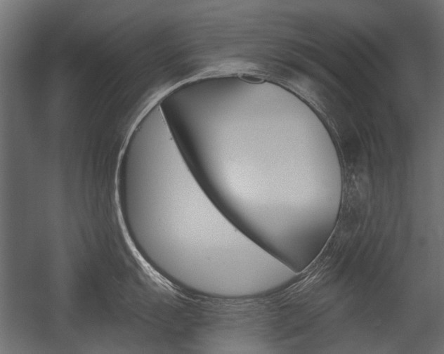 X0000054461055200507291016