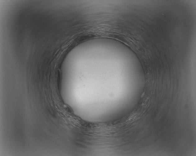 X0000054461057200507291015