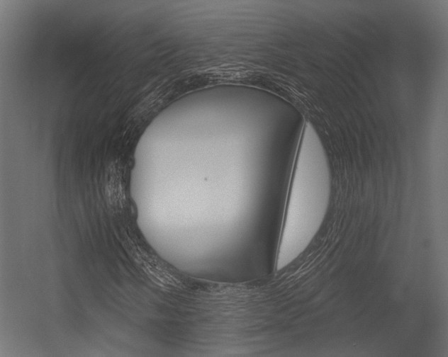 X0000054461058200507291015