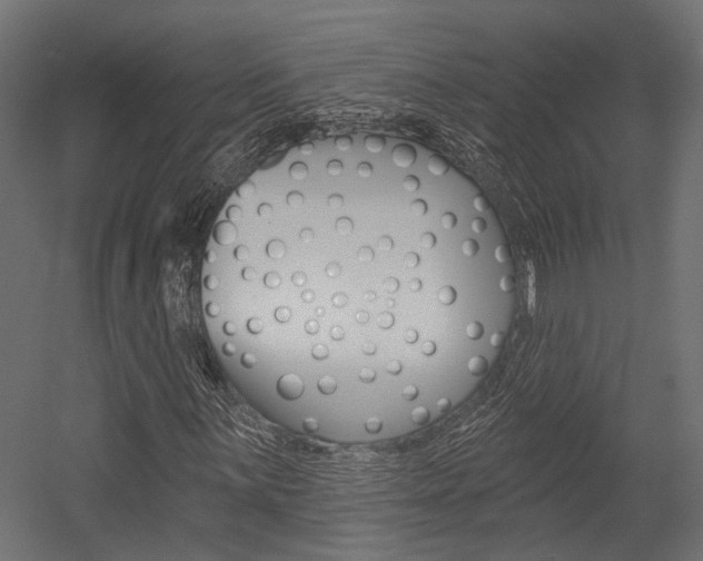 X0000054461059200507291015